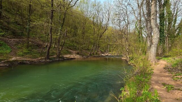 Clear green water flows through leafy forest stream. Mount Ozren, Sokobanja, Serbia