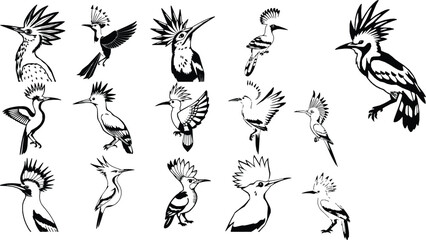 Hoopoe Bird Outline Crest Feathers Icon © PRO_ED