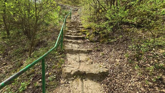 Winding steps lead upward through green forest. Mount Ozren, Sokobanja, Serbia