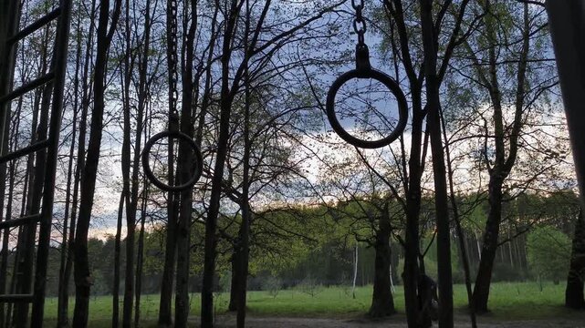 Sport equipment - gymnastic athletic rings hanging in action in the forest on the fresh air on sunset blue sky background among pine trees. Spring bright colors. No people