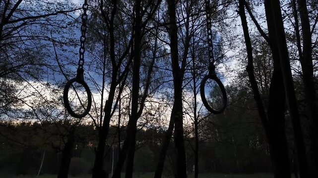 Sport equipment - gymnastic athletic rings hanging in action in the forest on the fresh air on sunset blue sky background among pine trees. Spring bright colors. No people