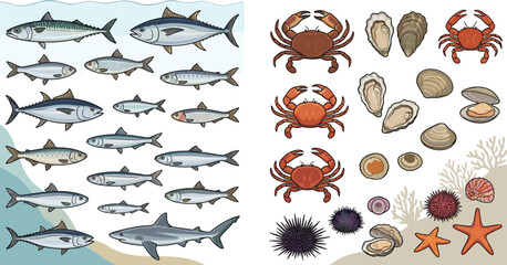 Large Seafood Collection Vector Set Featuring Tuna, Mackerel, Shark, Crabs, Oysters, Clams, Sea Urchins, and Starfish for Restaurant Menus, Fish Markets, and Marine Biology Education Designs © MstRoysha