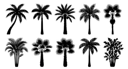 Watercolor palm tree vector set with hand drawn tropical plants in soft artistic style © MdArif