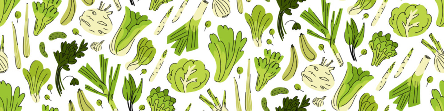 Long seamless pattern banner border with fresh farm seasonal vegetables, sustainable gardening, eco farming