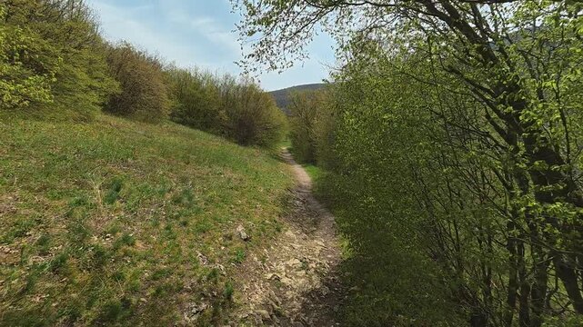 Narrow trail winds through green hillside. Mount Ozren, Sokobanja, Serbia