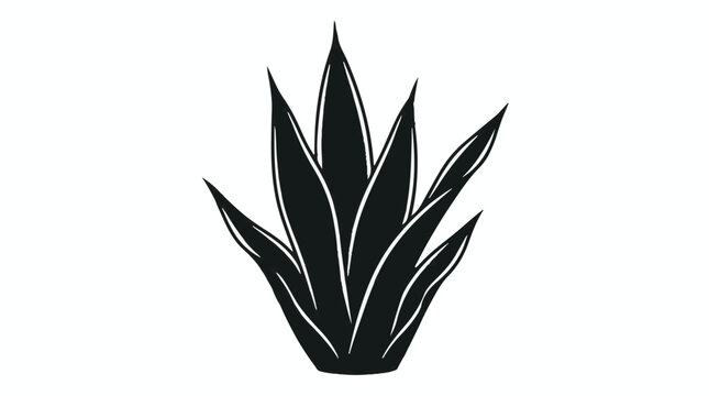 Black agave plant illustration on white background, modern minimalist design, plant silhouette, desert botanical element for decoration and design