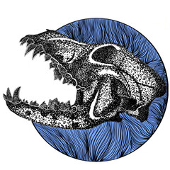 Dog Skull With Hard Upper Jaw and Sharp Teeth © Arif