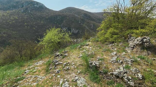 Green hills roll under blue skies. Mount Ozren, Sokobanja, Serbia