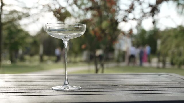 Empty coupe glass with flies on wooden table in garden in backyard during party. Used glass with gnats on it after sweet wine. Insects feed on human food leftovers.