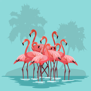 A flock of pink flamingos in the water.Color vector illustration of a flock of pink flamingos in water on a blue background with palm trees silhouette.