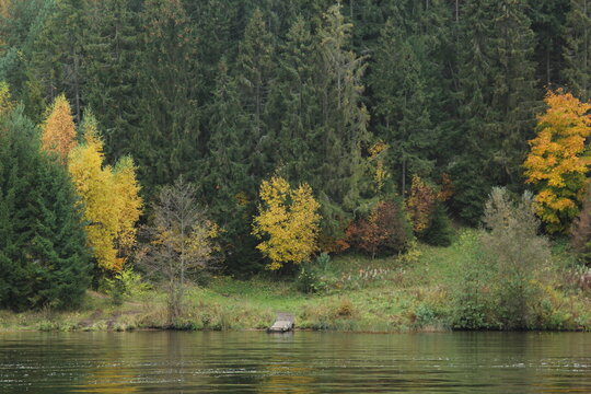 autumn in the park