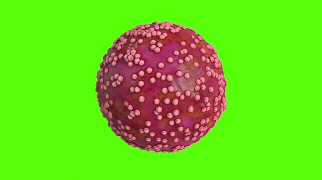 Hantavirus Chroma Green 4K