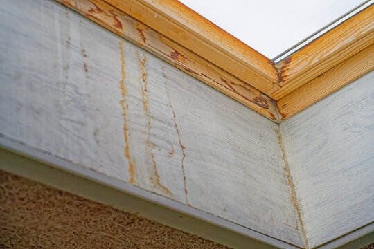 Water damage and mold stains on wooden ceiling near skylight window roof window