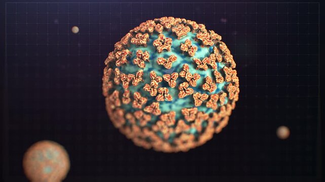 Hantavirus Cell Animation 4k