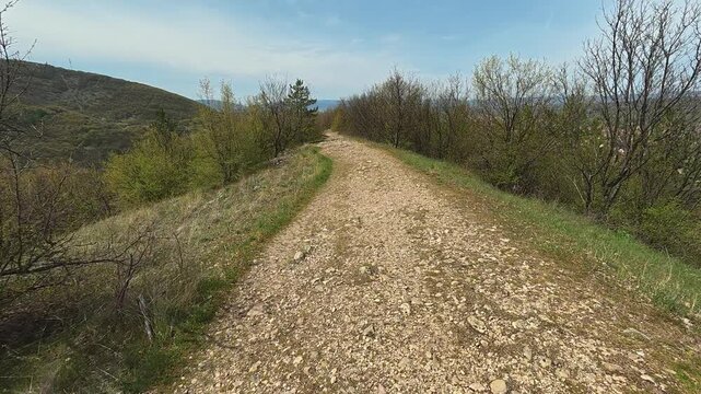 Rugged path winds through spring woods and hills. Mount Ozren, Sokobanja, Serbia