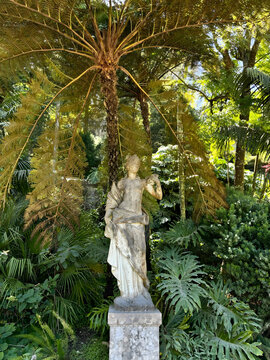 Ancient stone statue of classical female figure surrounded by lush tropical garden with tree fern, Portugal