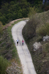 Fototapeta premium trail running contest participants running