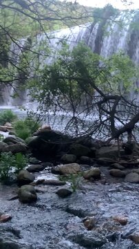 A stunning view of a multi-tier waterfall flowing into a clear rocky stream. Smooth stones and a fallen tree branch frame the water as it cascades down the cliff. Dense green foliage surrounds the sce