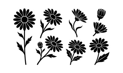 Obraz premium Minimalist daisy silhouette vector set with floral botanical icon collection