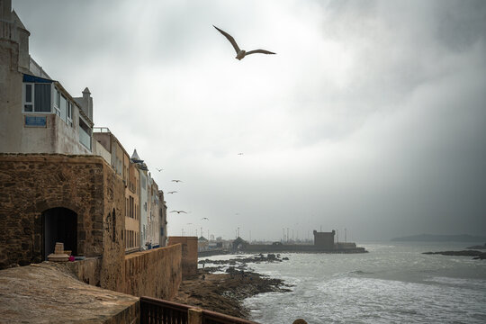 Essaouira 2026