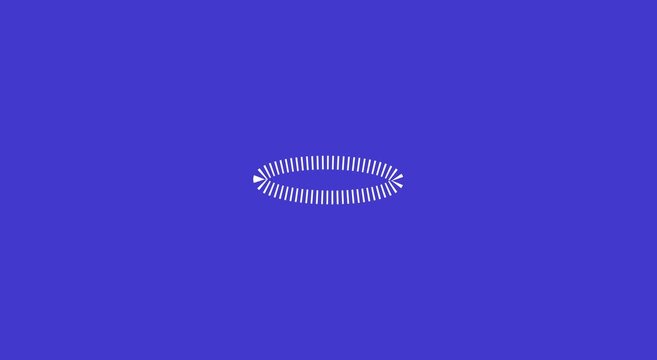 Rotating circular loading spinner animation on solid blue animation