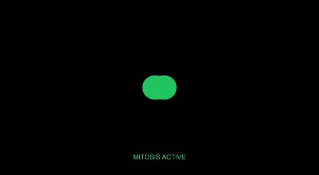 Mitosis active cell division process animation for biology animation