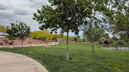 Fototapeta premium Vibrant view of lush green hills and manicured lawns in a public park. Featuring winding walking paths, decorative shrubs, and leafy trees under a clear blue sky. Peaceful summer day atmosphere.