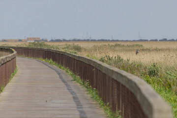 Obraz premium Tagus Estuary Riverside Linear Park boardwalk winding through marshland