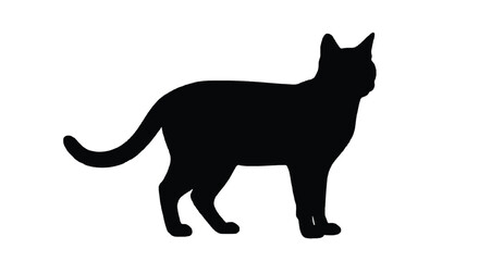 black cat vector illustration © Kaniz Fatema