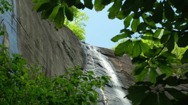 view of the waterfall through tree branches