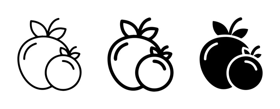 Fruit Icons Set: Apple, Orange, Tomato, Berry Icons in Outline, Line Art, and Solid Styles for Healthy Eating and Organic Food Concepts