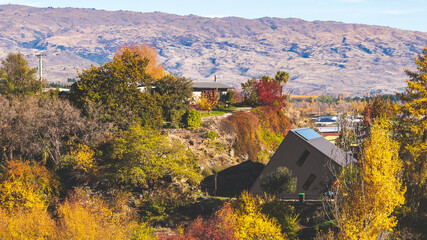 Naklejka premium alexandra township central otago south island new zealand landscape scenery views golden autumn colours yellow trees beautiful