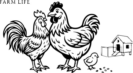 rooster and hen © Muhammad