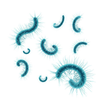 Group of vibrant cyan spiral bacteria with hair-like pili floating in a transparent laboratory environment, scientific research and clinical observation concept