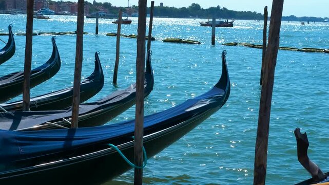 Gondolas moored in venice lagoon reflecting sunlight. Several gondolas, traditional venetian boats, rest gently moored in the lagoon, their sleek black hulls and ornate ferro catching