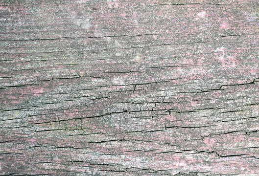 weathered wood texture horizontal lines