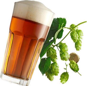 Tilted glass of amber beer with hops and bottle cap isolated on transparent background