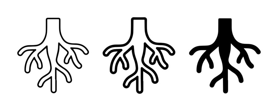 Root System Icons, Plant Roots, Tree Roots, Abstract Organic Structure, Black and White Vector Graphics