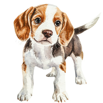 Puppy Wagging Its Tail, illustration watercolor, vector isolated on a white background.