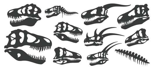 Collection of dark grey dinosaur skulls and a spine silhouette on a white background skeleton fossil © Siddhartha