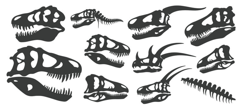 Collection of dark grey dinosaur skulls and a spine silhouette on a white background skeleton fossil