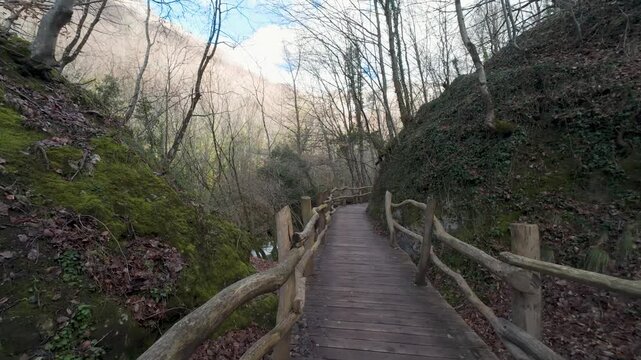 Personal perspective of walking on a wooden path through a forest canyon