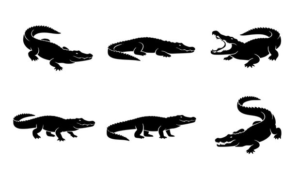 Crocodile Silhouette Vector Set Wildlife Reptile Illustration Collection