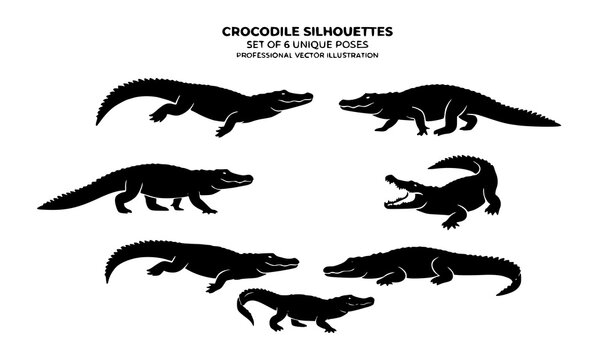 Crocodile Silhouette Vector Set Wildlife Reptile Illustration Collection