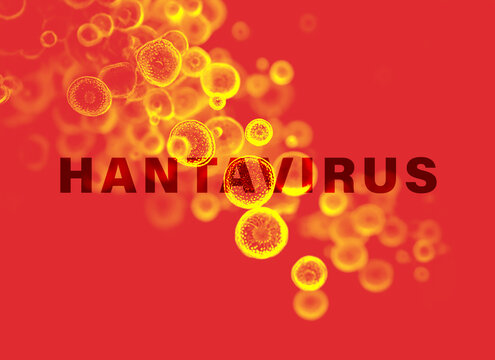 Hantavirus concept background, virus