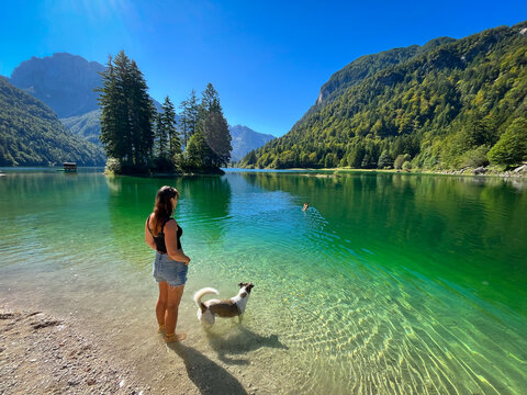 Woman and her dog stand at the shallow edge of Lake Predil, watching another dog swim across crystal clear alpine water. Scenic bright green lake, wooded island and surrounding mountains in Italy.
