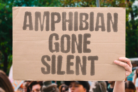 "Amphibian Gone Silent" Amphibian populations globally represent the most severely threatened vertebrate class by extinction rate. AMPHIBIAN. GLOBALLY. SEVERELY. THREATENED. VERTEBRATE.
