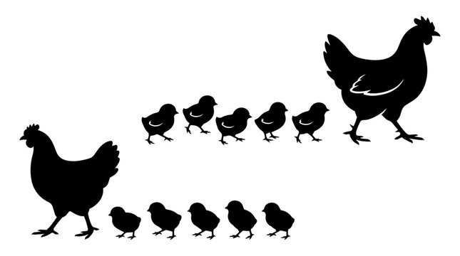 Mother hen leads a line of chicks across a studio background. Bold black silhouettes create a playful graphic mood.