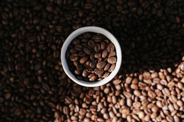 Fototapeta premium Horizontal Wide Shot Coffee Beans in White Cup with Dramatic Sunlight and Shadow