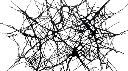 Black ink splatter web on white background with tangled expressive lines. © pixel*